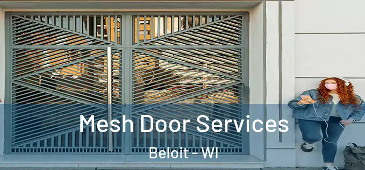 Mesh Door Services Beloit - WI
