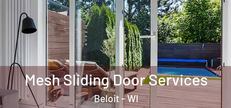 Mesh Sliding Door Services Beloit - WI